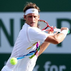 David Nalbandian Gantung Raket
