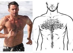 5 Tipe Bulu Dada Pria untuk Tampil Seksi dan Menyenangkan Pasangan