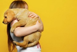 Cegah Rabies, Jangan Cuma Anjing yang Divaksin Tapi Manusia Juga