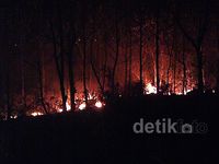 Hutan Bentar di Probolinggo Terbakar