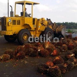 Cerita Bos BUMN Minyak Goreng China yang Masih Bergantung Pada Indonesia