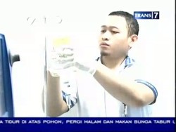 Brutalitas Pelajar di Jalanan Ibukota