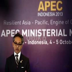 RI Urutan Kedua Setelah China Sebagai Tujuan Utama Investasi CEO APEC