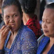 Berebut Gelar Ratu Nginang di Festival Kemiren