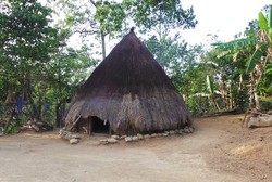 Ibu dan Bayi Baru Lahir di Desa Bitobe Harus Tinggal di Rumah Asap
