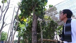 Jokowi: Kita Lihat Kepuasan Masyarakat Jakarta Akhir November