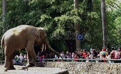 CEO Kebun Binatang Australia Puji Keragaman Satwa di Indonesia