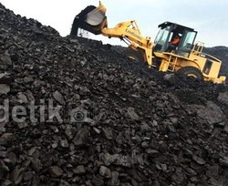 Jadi Produsen Terbesar, Harga Batubara RI Ditentukan oleh Newcastle Index
