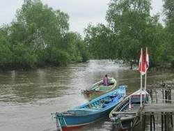 Merah Putih Berkibar di Desa Terpencil Kalimantan
