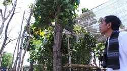  MRT Dibangun, Jokowi: Konsekuensinya ya Macet