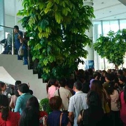 Meski Mahal, Mengapa Orang Rela Antre Beli Rumah di Serpong?