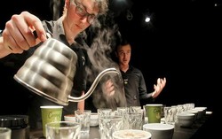 Satu Shot Kopi Terbaik di Dunia Dihargai Rp 115.000