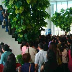 Di Jakarta Ada Antrean Beli Emas, di Serpong Antre Beli Rumah Rp 900 Juta