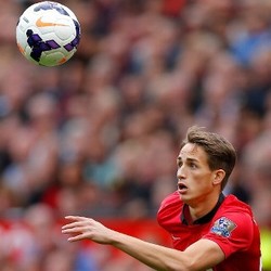 Wilshere Tidak Setuju Jika Januzaj Main di Timnas Inggris