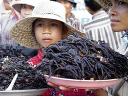 10 Negara Ini Punya Makanan Paling Unik