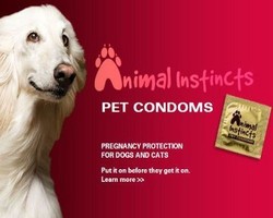 Waduh, Ada Situs Online yang Jual Kondom untuk Hewan