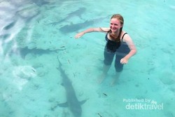 Bule Cantik Dikepung Hiu Karimunjawa!