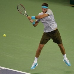 Taklukkan Nadal, Del Potro Tantang Djokovic di Final