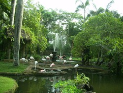 Libur Akhir Pekan Beda di Pulau Dewata, Yuk ke Bali Bird Park