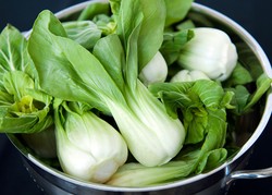 Bokchoy, si Renyah yang Berkhasiat Anti Kanker