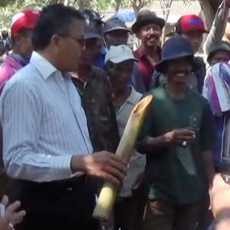 Polisi Bubarkan Praktik Sapi Gelonggong di Pasar Hewan Situbondo