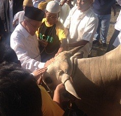 Idul Kurban, Partai Golkar Sumbang 22 Sapi dan 7 Kambing