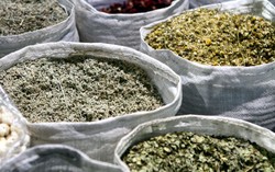 Restoran di China Didenda karena Tambahkan Produk Opium ke Makanan