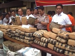 Anggota TNI dan 4 Warga Ditangkap karena Angkut 380 Kg Ganja di Medan