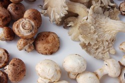 Jamur Goreng yang Garing