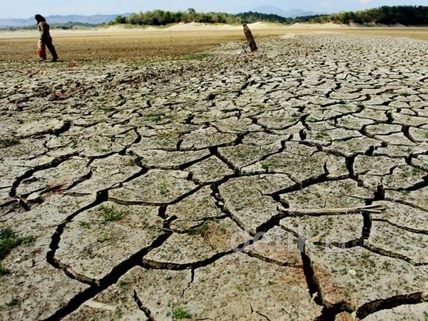 Waduk Pacal Bojonegoro Krisis Air