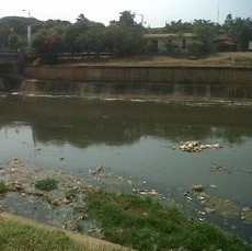 Jarang Dibersihkan, Kanal Banjir Timur Kotor