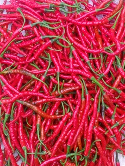 The Real Red Hot Chili Paper