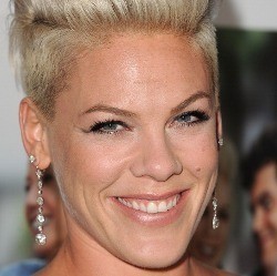 Suara Hilang, Pink Undur Jadwal Konser