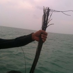Kabel Laut Putus, Operator Rugi Rp 30 Miliar