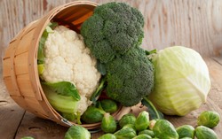 Kol Lindungi Tubuh dari Efek Terapi Radiasi untuk Kanker