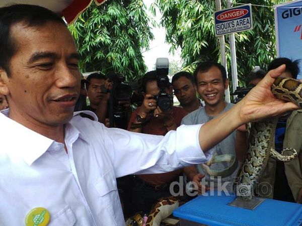Jokowi Pegang Ular