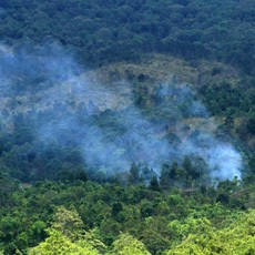Kebakaran Hutan Ancam Sumber Air Gunung Arjuno