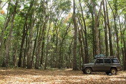 Jalan Panjang Menuju Surga Peselancar Dunia di Banyuwangi
