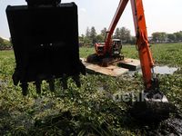 Waduk Sunter Dibersihkan