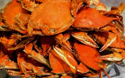 Agar Terasa Gurih dan Manis, Rebus Kepiting Dengan Cara Ini