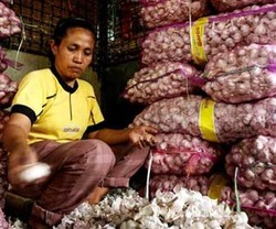 Pedagang Ngaku Lebih Mudah Dapat Bawang Putih Impor daripada Lokal