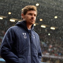 AVB Puji Respons Positif Spurs