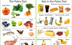Mau Langsing dengan Paleo Diet ? Perhatikan 6 Hal Penting Ini!