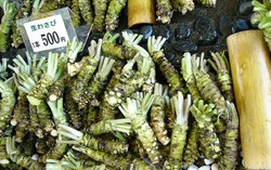 Mau Berumur Panjang? Konsumsi Satu Sendok Teh Wasabi Tiap Hari 