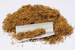 RI Belum Ratifikasi Konvensi Pengendalian Tembakau, Menkes Malu