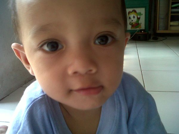 Louis Diego Aditya Suyadi, 1,2 Tahun, Lelaki
