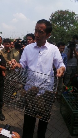 Jokowi Soal Topeng Monyet: Tidak Berperikemonyetan!