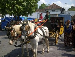 Ini Rute Kereta Kuda Royal Wedding Yogya