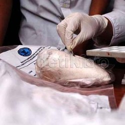 Bandar Narkoba Incar TKW yang Pulang Kampung Sebagai Kurirnya