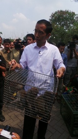  5 Suara Jokowi Soal Monyet